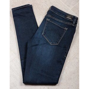 Dear John Dark Wash Joy Rich Skinny Jeans